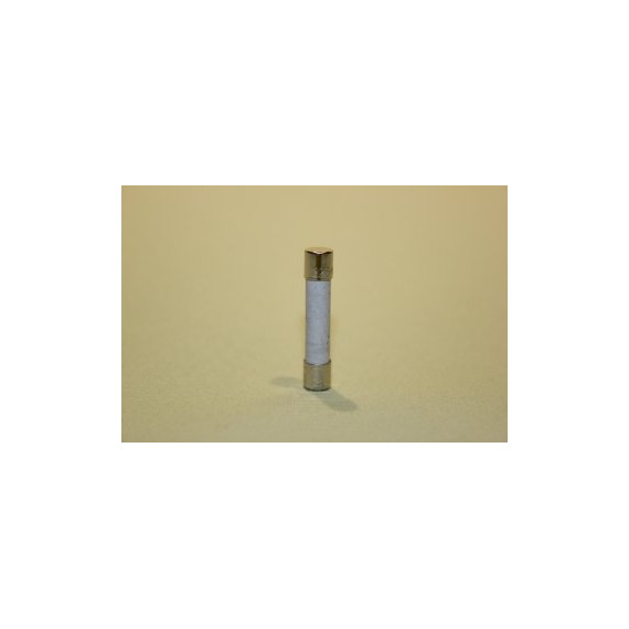 Sikring – 20amp spesiell for Pumpe2 Balboa kretskort