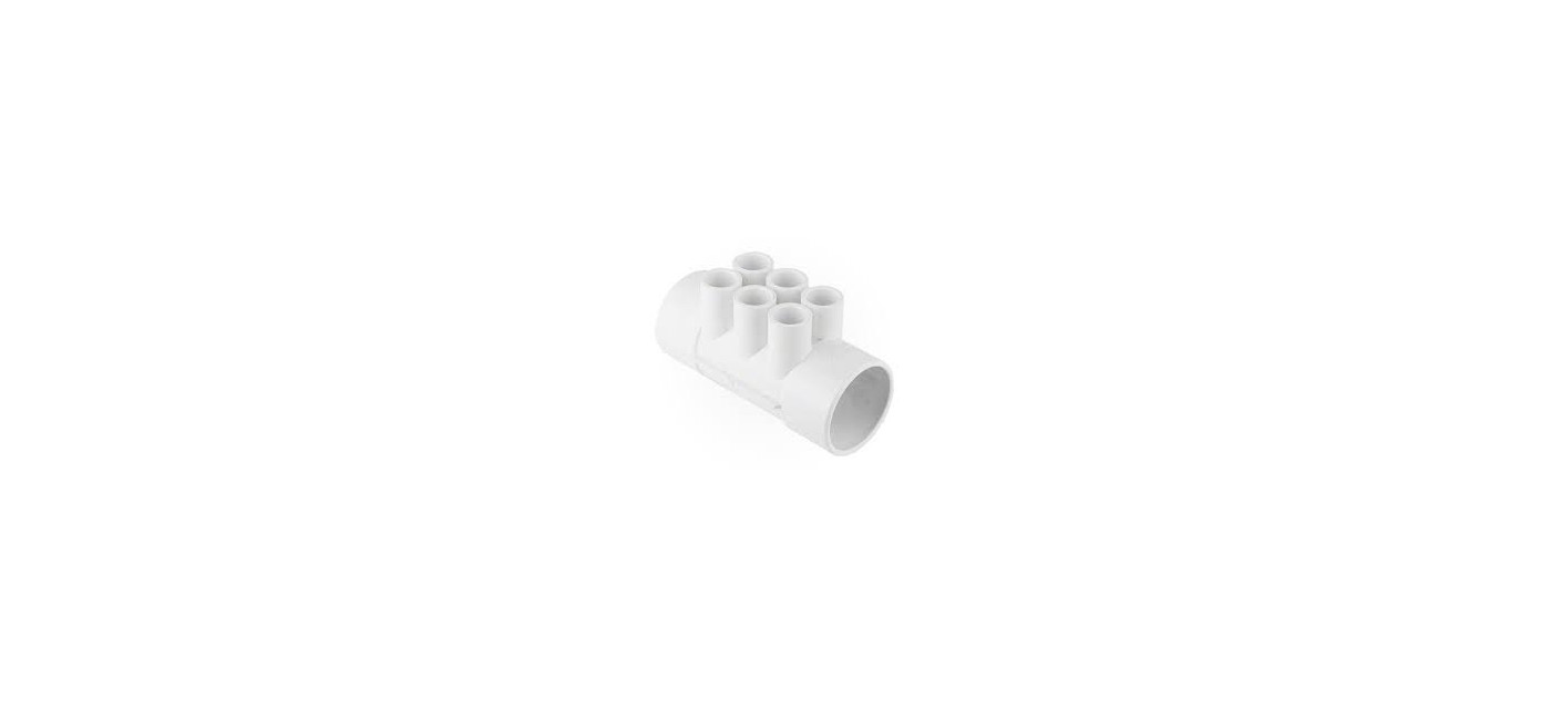 Manifold
